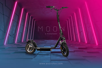 Arctic Fox E-Kick Scooter "Moon"